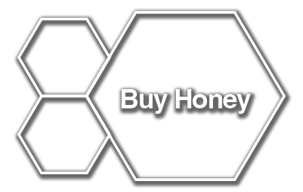 Buy-Honey-button