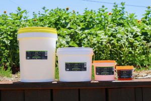 Honey in pails for commercial kitchens